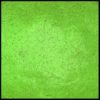 Green Apple Rezin Arte Luster Pigments 