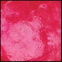 Coral Berry, 30ml Jar, Primary Elements Arte-Pigment