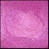 ...Luv-U-Pink, 30 ml Jar, Primary Elements Arte-Pigment