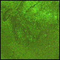 Moss Green, 30ml Jar, Primary Elements Arte-Pigment