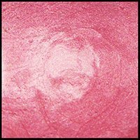 Pink Grapefruit, 30ml Jar, Primary Elements Arte-Pigment