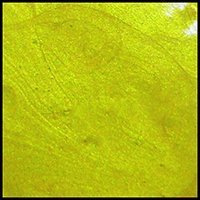Sunburst, 30ml Jar, Primary Elements Arte-Pigment
